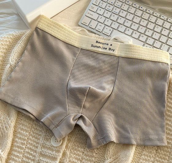 5Pcs Men's Plus-Size Ribbed Boxer Briefs Boxer Briefs Made