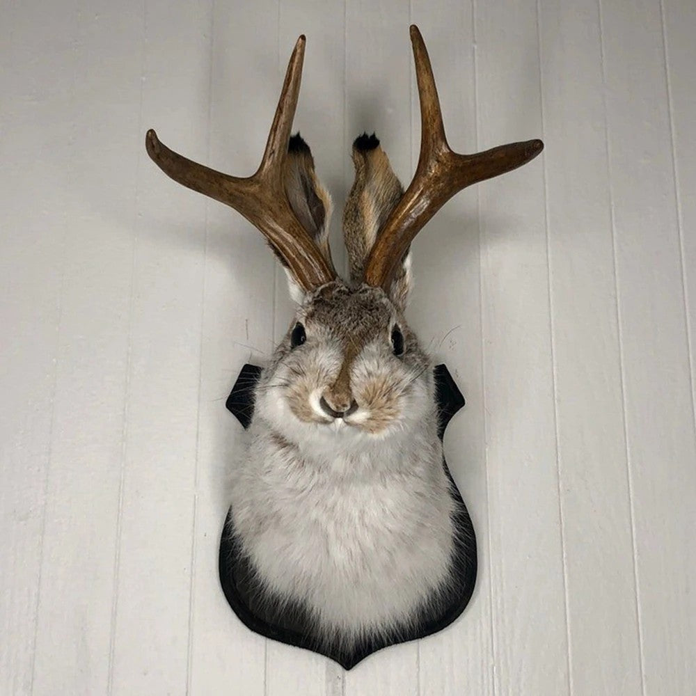 Animal Home Decoration Jackalope Statue Wall Mount Antler Rabbit Head Hanging