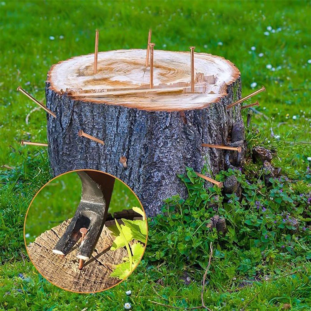 Copper Nails for Tree Stump Root For Killing 4 Inch Solid Copper Spikes