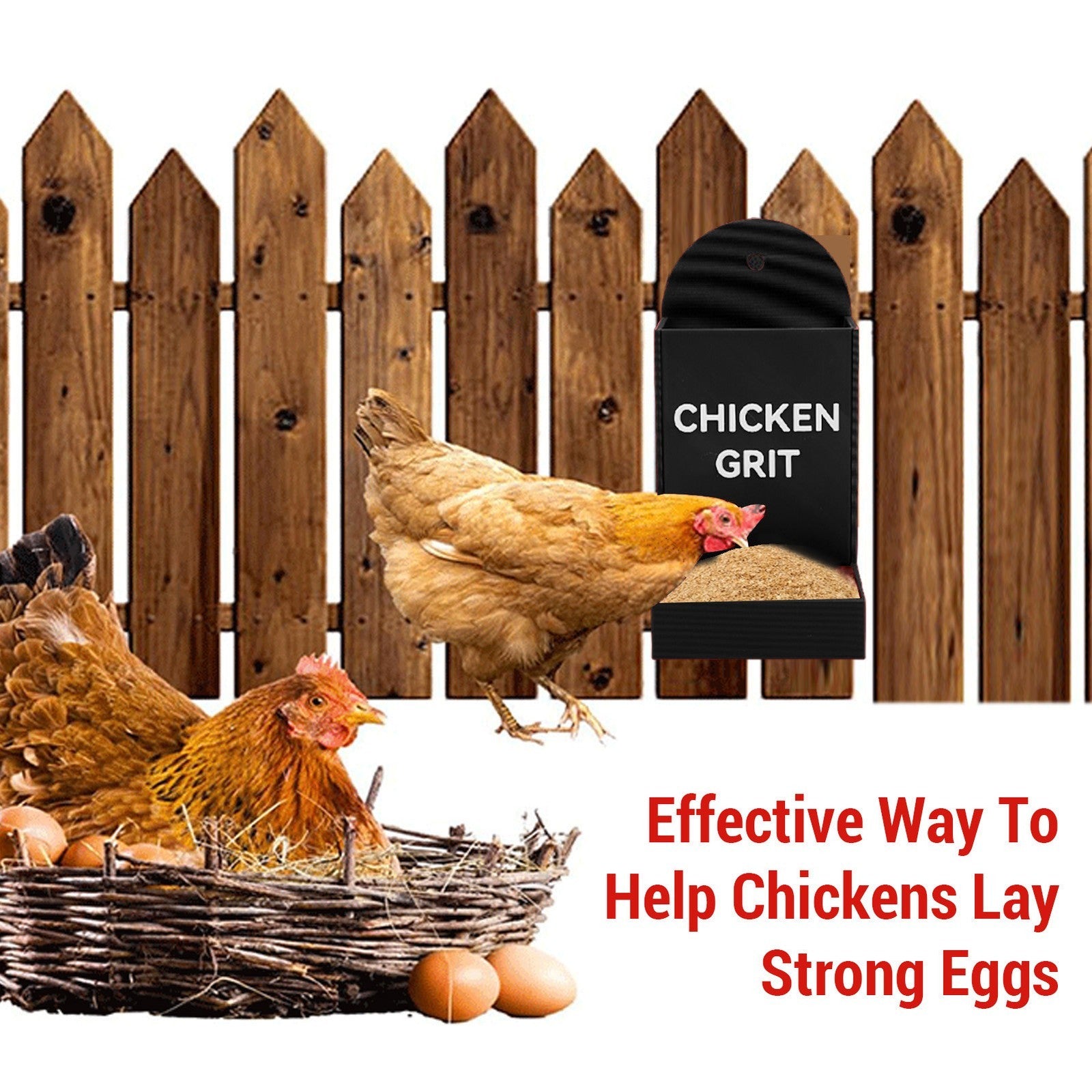 Chicken Grit Feeder Corner Hanging Feeding Device Trough Automatic Gravity