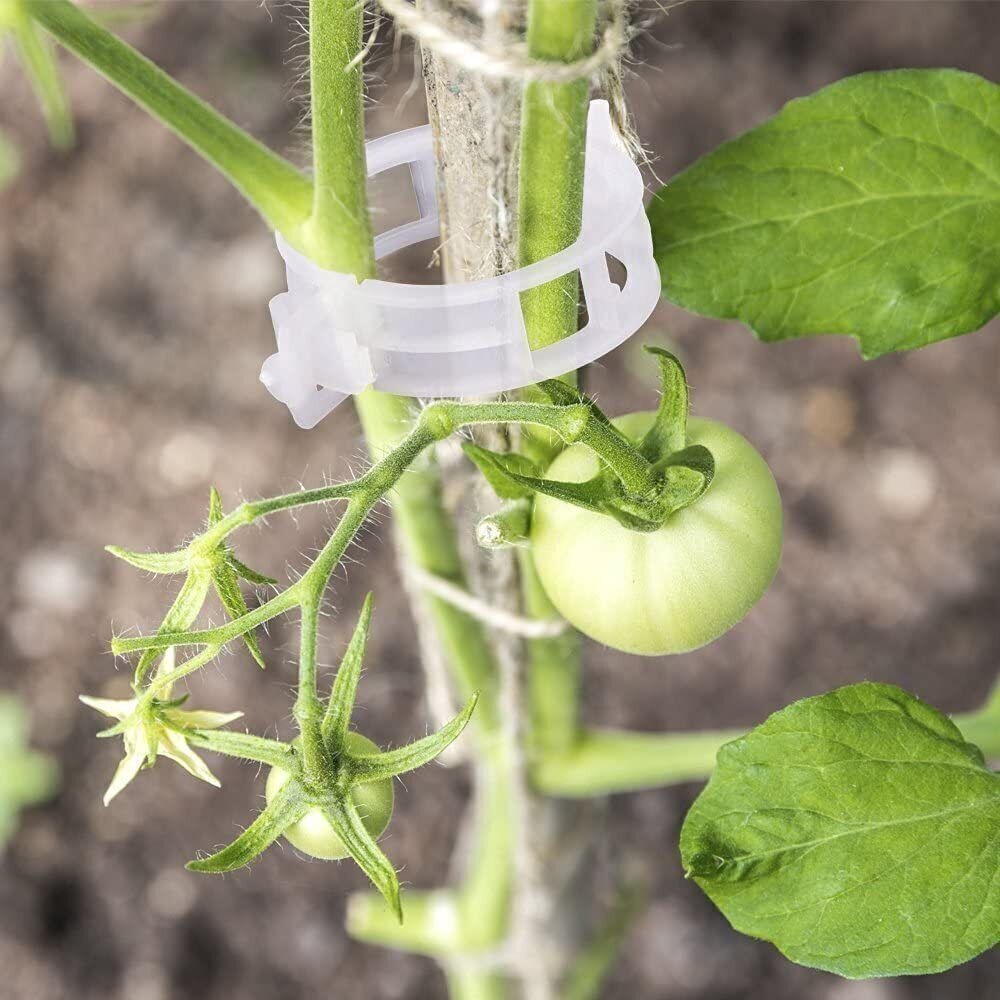 100-500x Plant Support Clips Ties Veggie Trellis Stake Greenhouse Tomato Garden