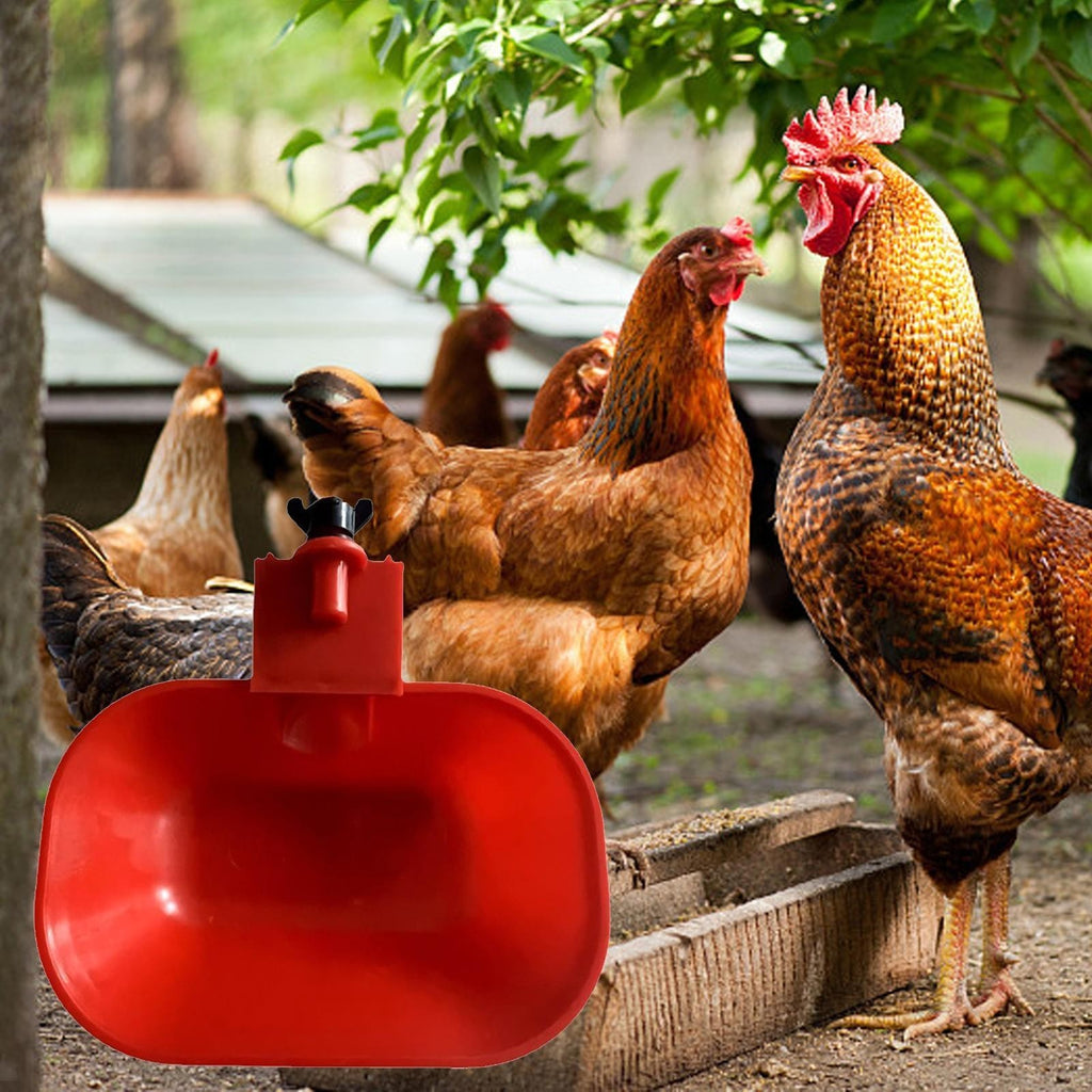 Large Automatic Cup Water Feeder Duck Geese Poultry Chook Bird Water Dispenser