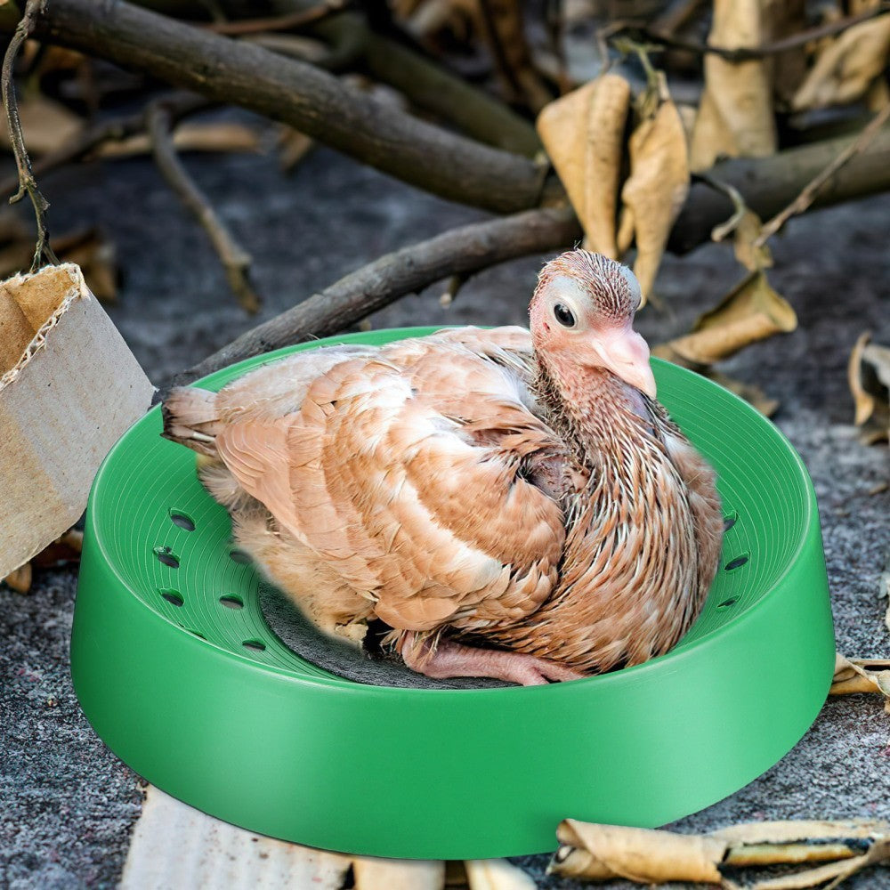10 Pcs Breathable Nest Pigeon Bowls for Pigeons Bird Breeding Basin