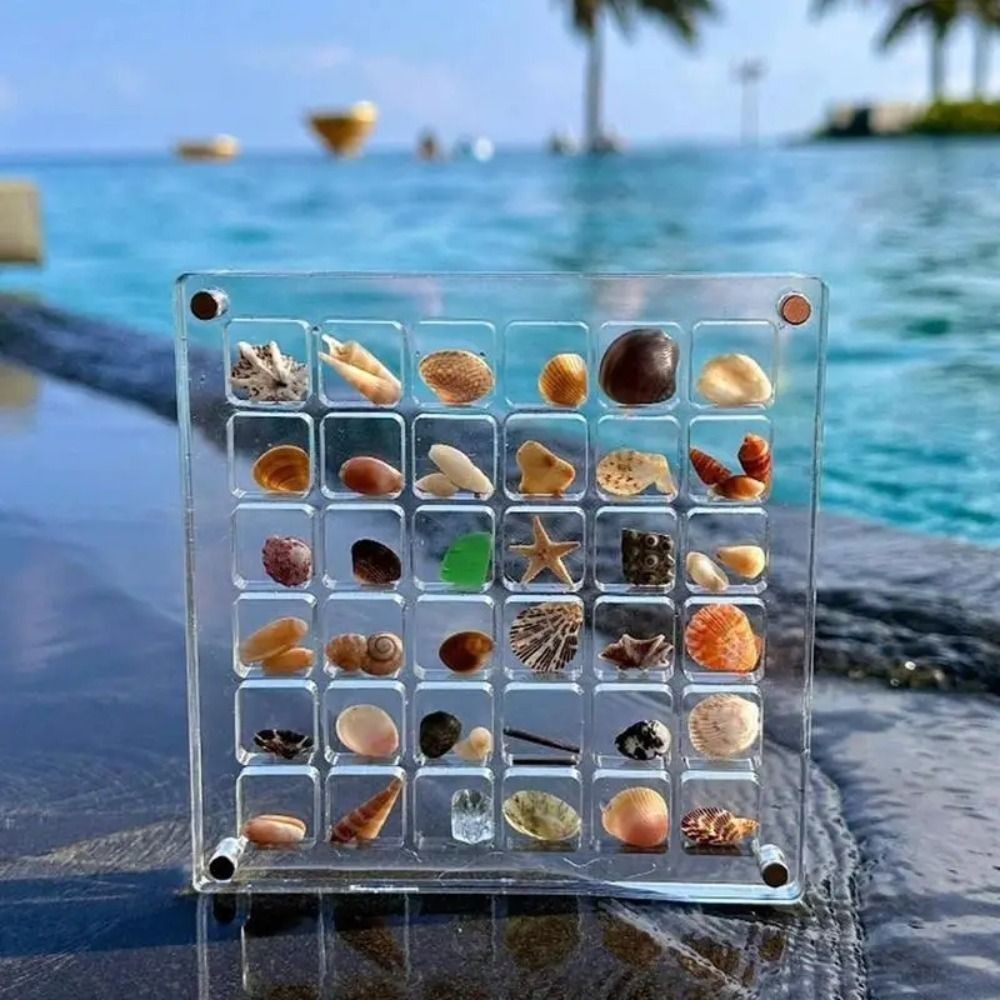 36 Grids Acrylic Magnetic Seashell Display Box Mini Seashell Collection Case