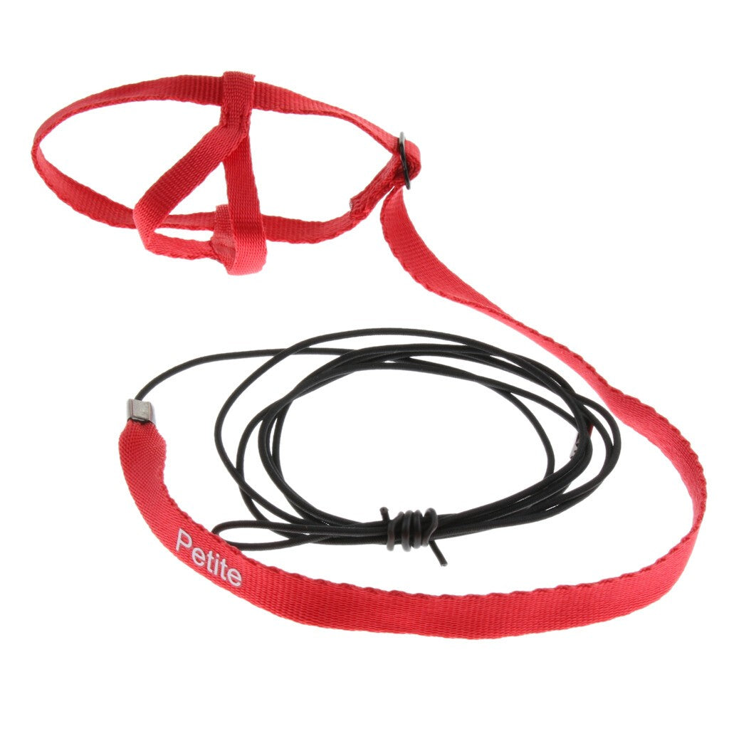 Adjustable Harness Leash for Parrot African Grey Cockatoo Macaw Ringneck