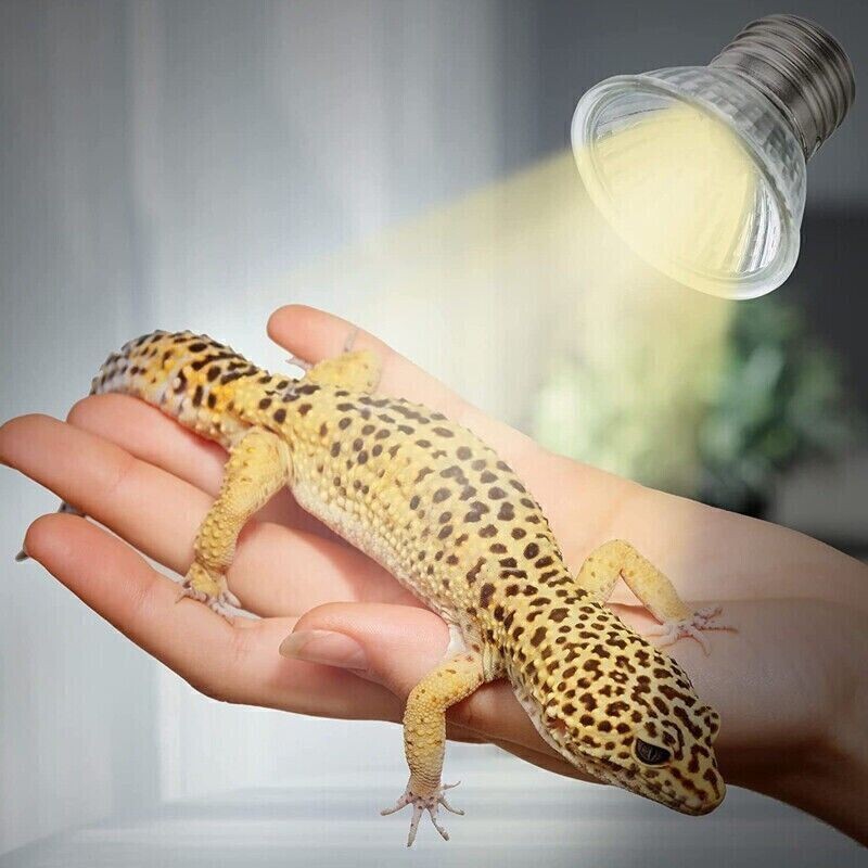 3Pcs 75W Reptile Heat Lamp Bulb UVA UVB Tortoise Turtle Calcium Supplement Light