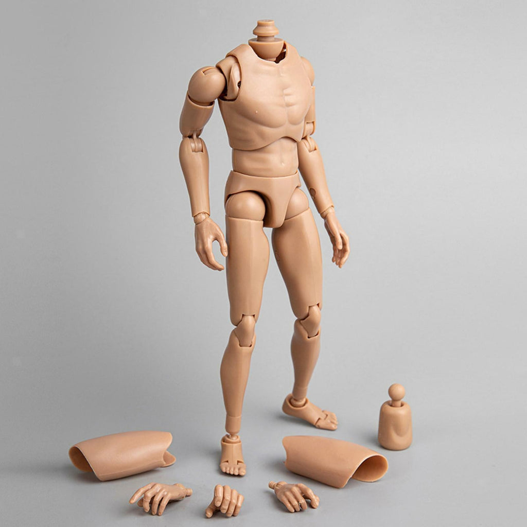 1/6 Scale Male Action Figure Body Man Body 12" Male Body Model Flexible