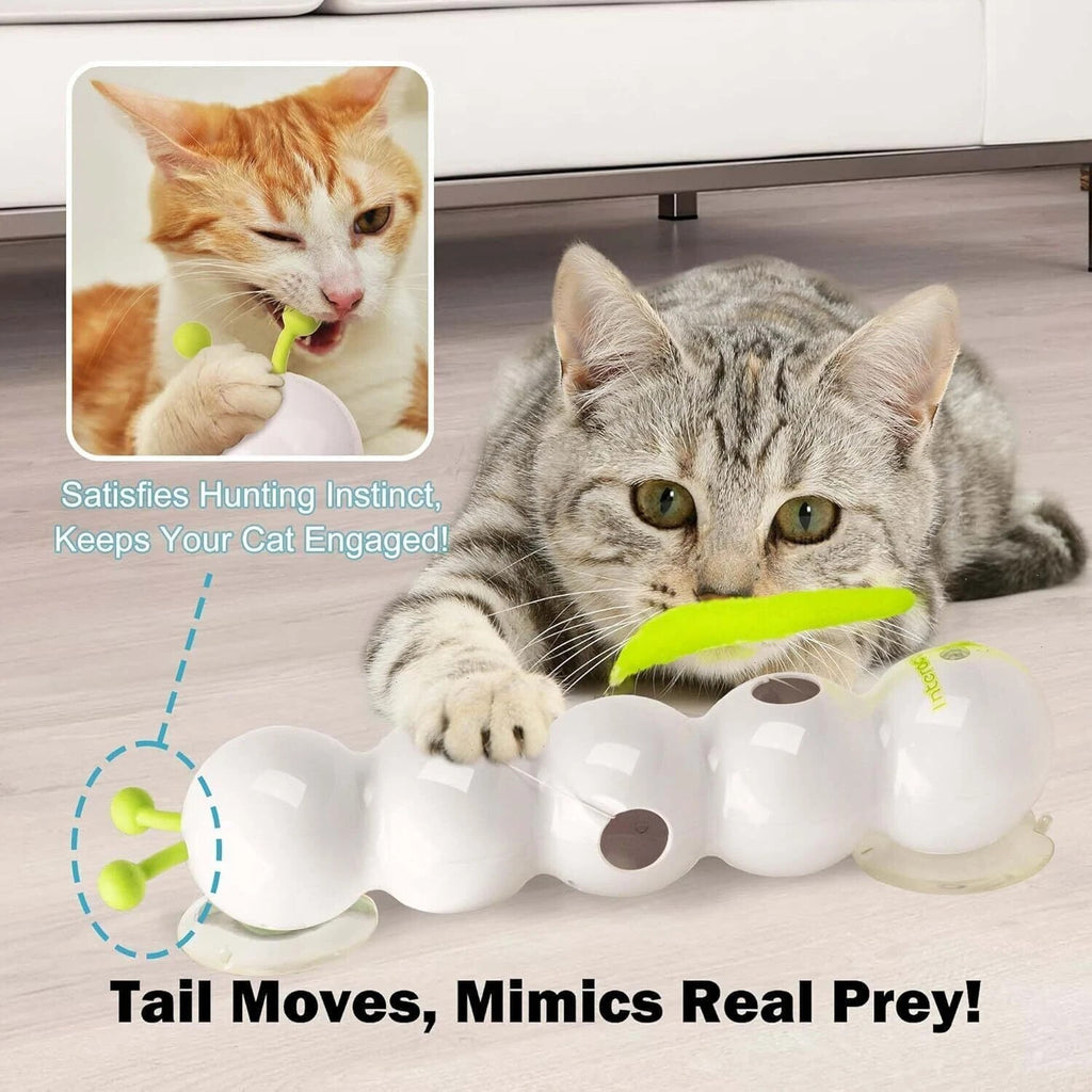 Interactive Caterpillar Cat Toy For Indoor Cats – Caterpillar Smart Cat Toy New