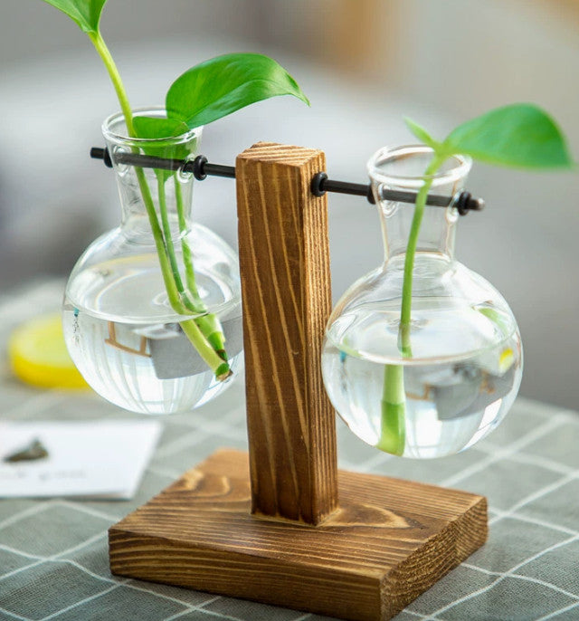 Vase with Retro Wooden Stand Propagation for s Office Desk