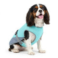 Pet Dog Cooling Vest Breathable Mesh Jacket Summer Cool Coat Harness Reflective