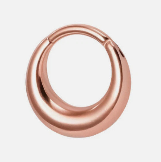 1PC 16G Titanium G23 /Steel Nose Ring Hoop Chunky Oval Hoop Earring Women Men.*
