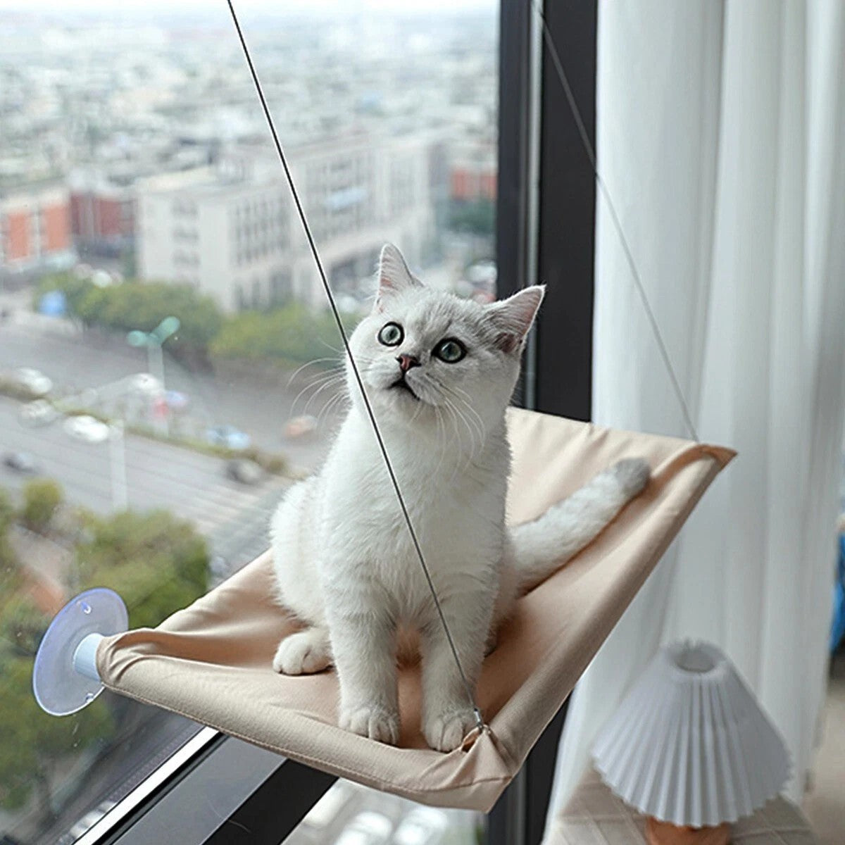 Pet Cat Window Hammock Space-Saving Window-Mounted Hanging Bed with Suction Cups