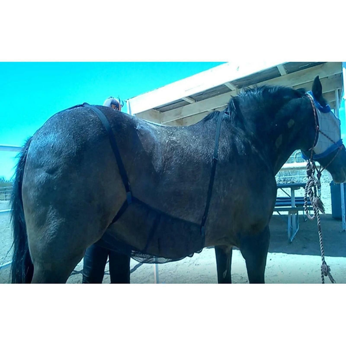 Horse Pony Fly Sheet Rug Belly Protection Insect Repellent Blanket