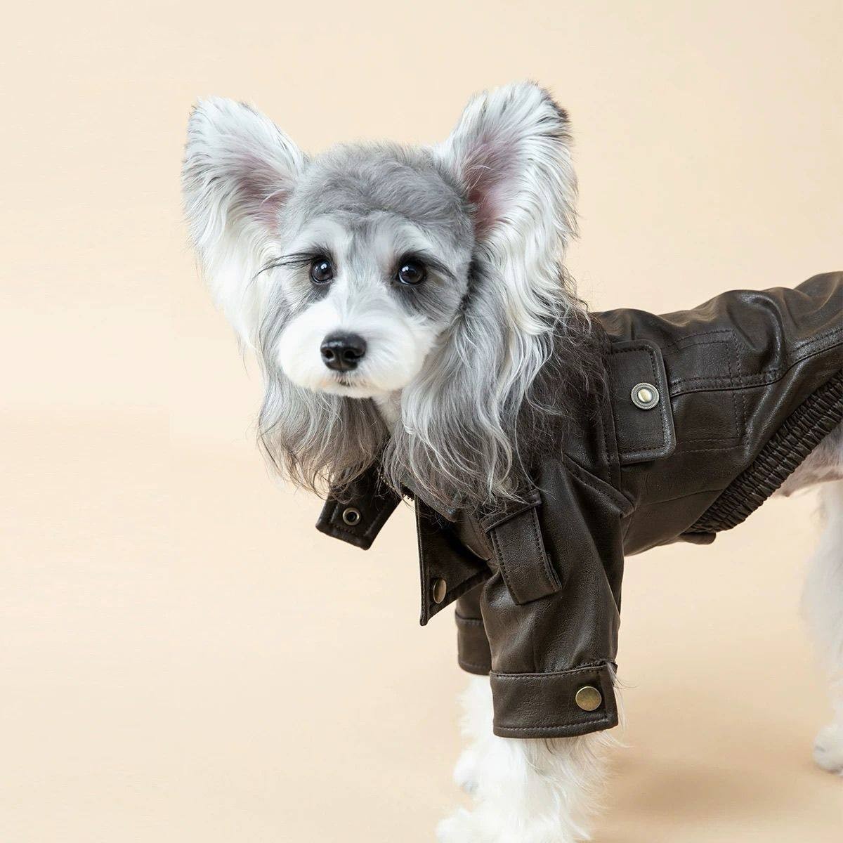 Dog Jackel Coats for Small Dogs Cats Winter Clothes