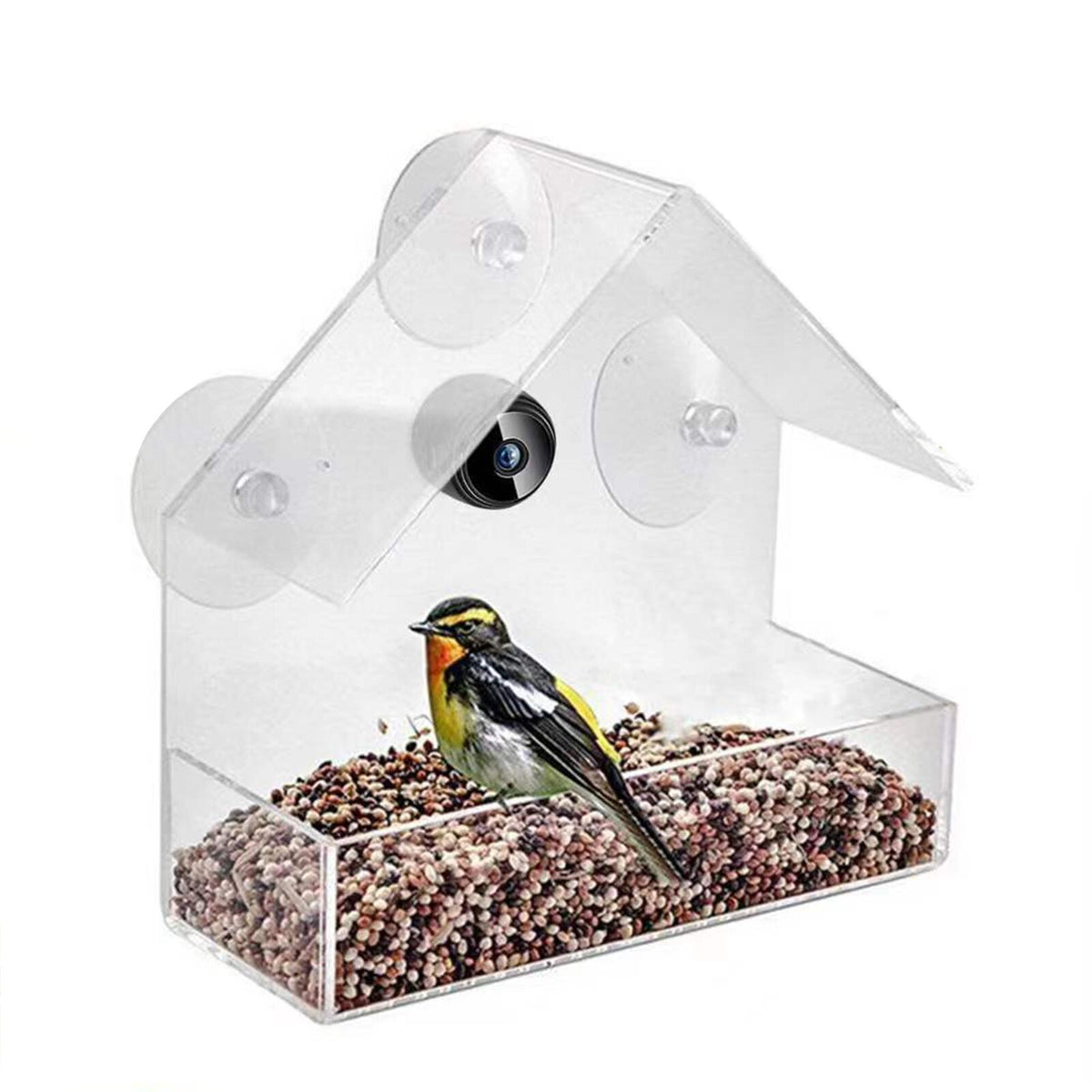 Smart Bird Feeder with Camera HD 1080P Outdoor Wireless Remote WiFi Feeders New