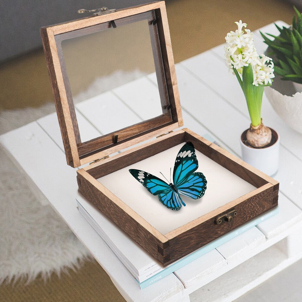 Insect Specimen Display Case Wooden Box with Clear Lid for Specimen Showing
