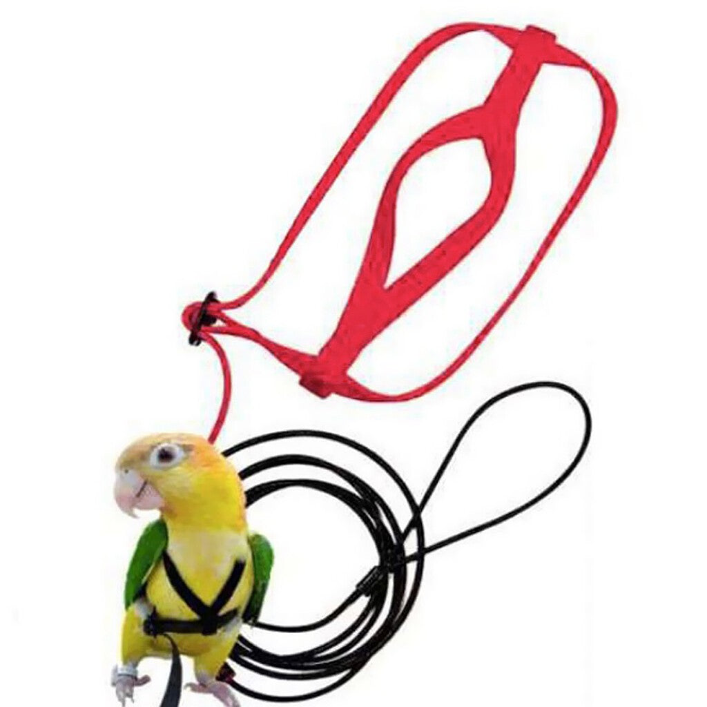 Adjustable Harness Leash for Parrot African Grey Cockatoo Macaw Ringneck