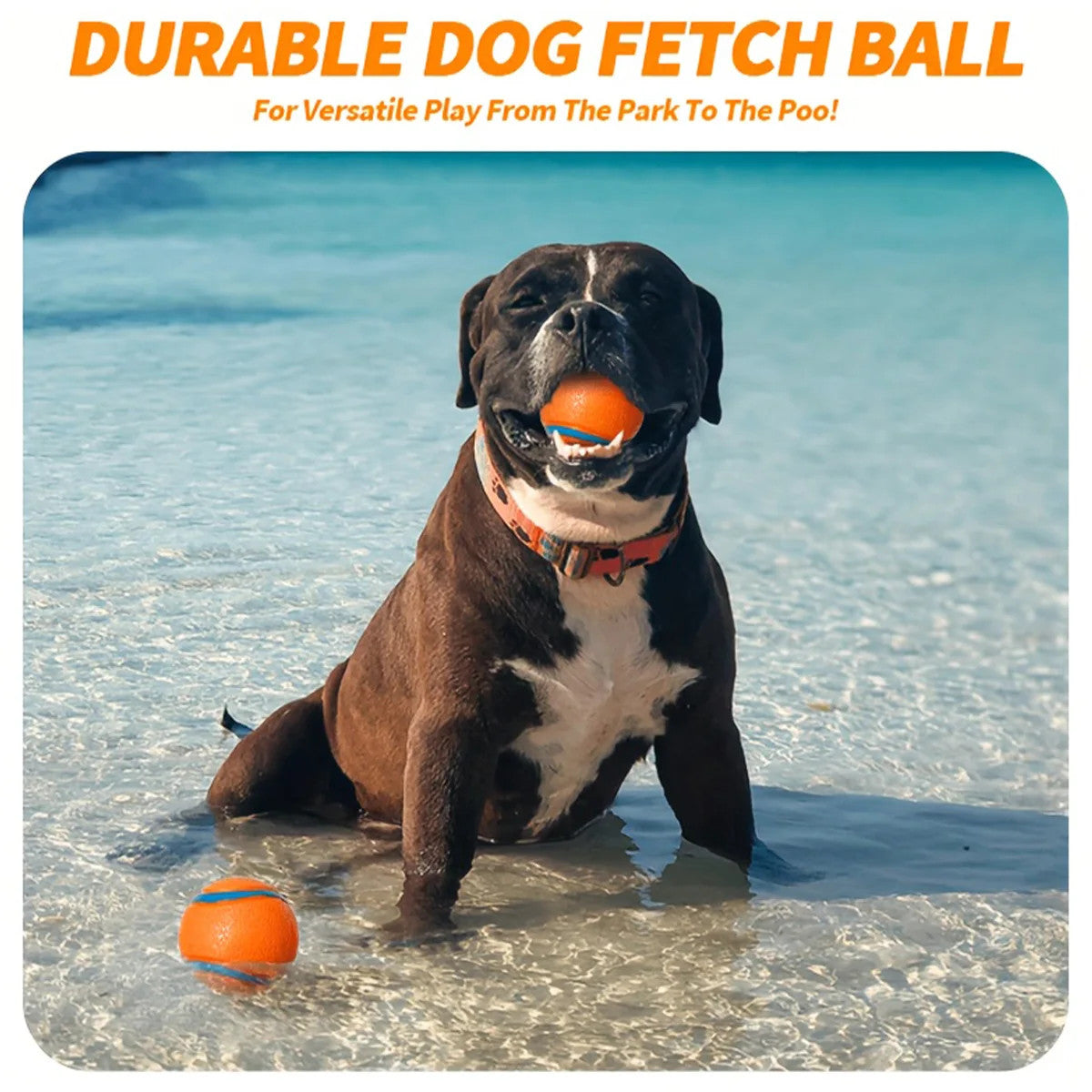 3 Pack Squeaky Dog Ball Toys Rubber Chew Balls Interactive Puppy Training Toy