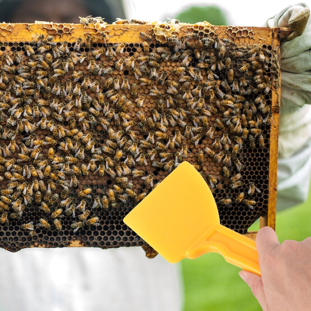 Hive Accessories Plastic Honey Spatula Harvesting Tool Honeycomb Collection