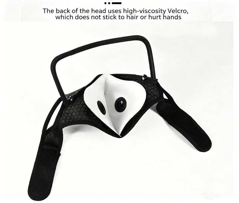 Reusable Carbon Filter Dust Mask with Adjustable Goggles, With 5-Layer Filter