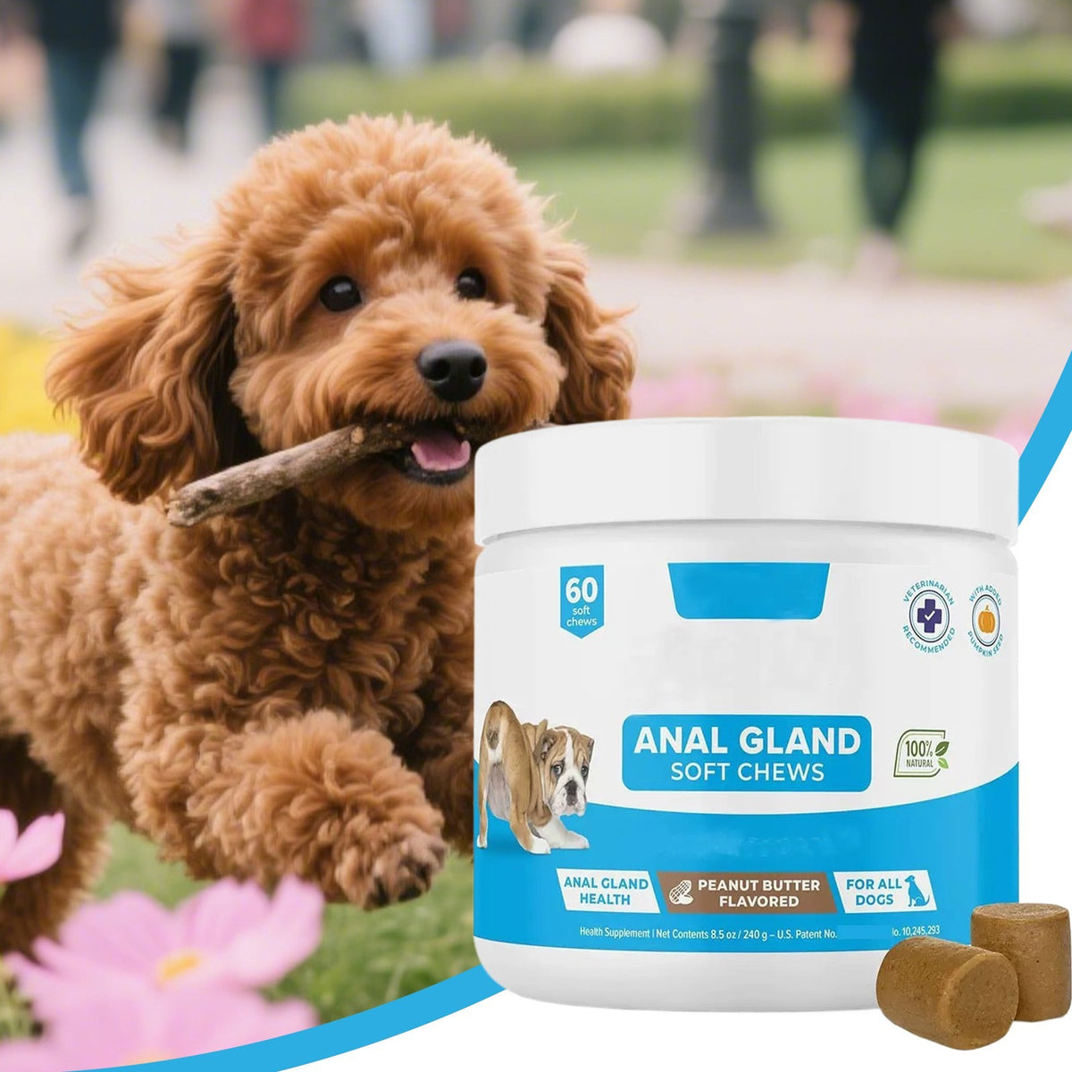 GLANDEX ANAL GLAND Support Chews For All Dogs 90 Soft Chews Peanut Butter Flavor