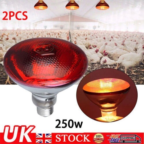 UK 250W Infra Red Ruby Heat Bulb Livestock Chick Brooder Heating Lamp 2 Pack