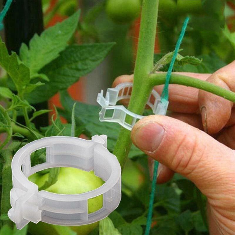 Plant Support Clips Ties Veggie Trellis Stake Greenhouse Tomato Garden Tools