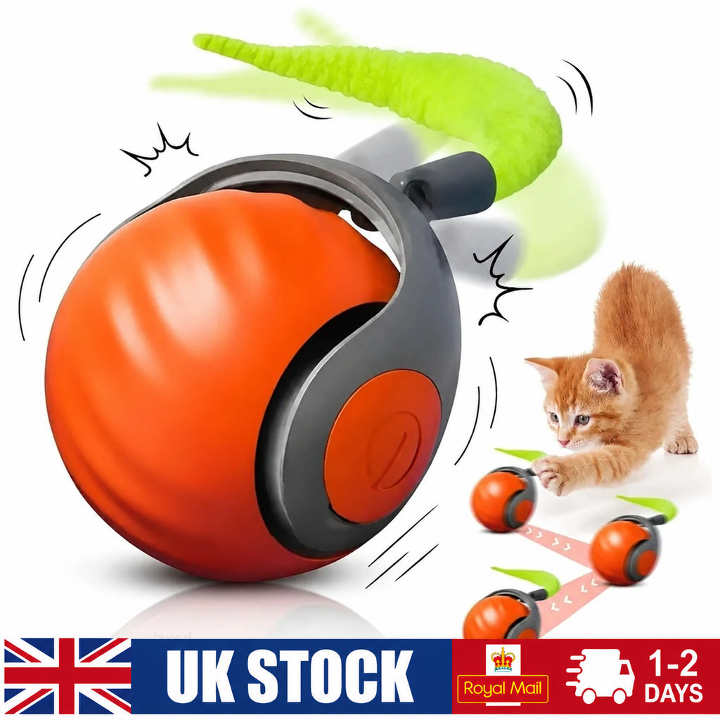 Speedy Tail 2.0 Speedy Tail Cat Toy Interactive Cat Toy Smart Indoor Cats Toy