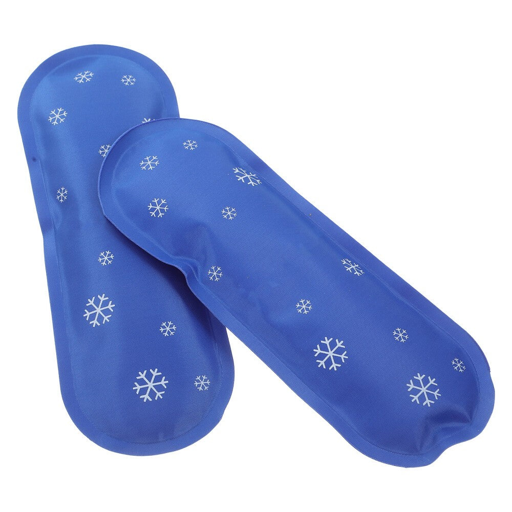 2 Pcs Refrigerated Ice Pack Lengke Cooler Bags Insulated Travel