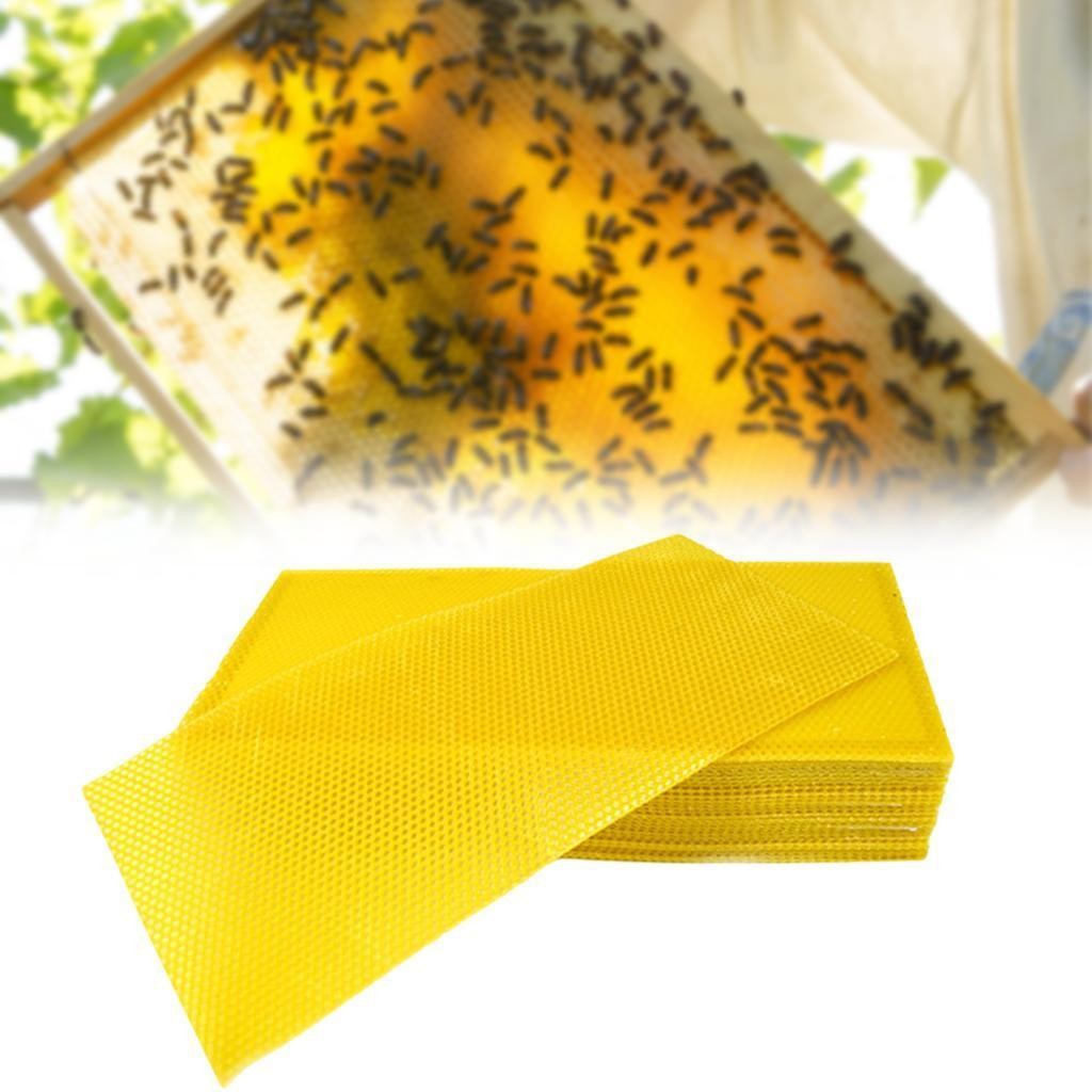 30 Pieces Beeswax Sheets Natural Honeycomb Bee Wax Foundation Sheets 41.5x19.5cm