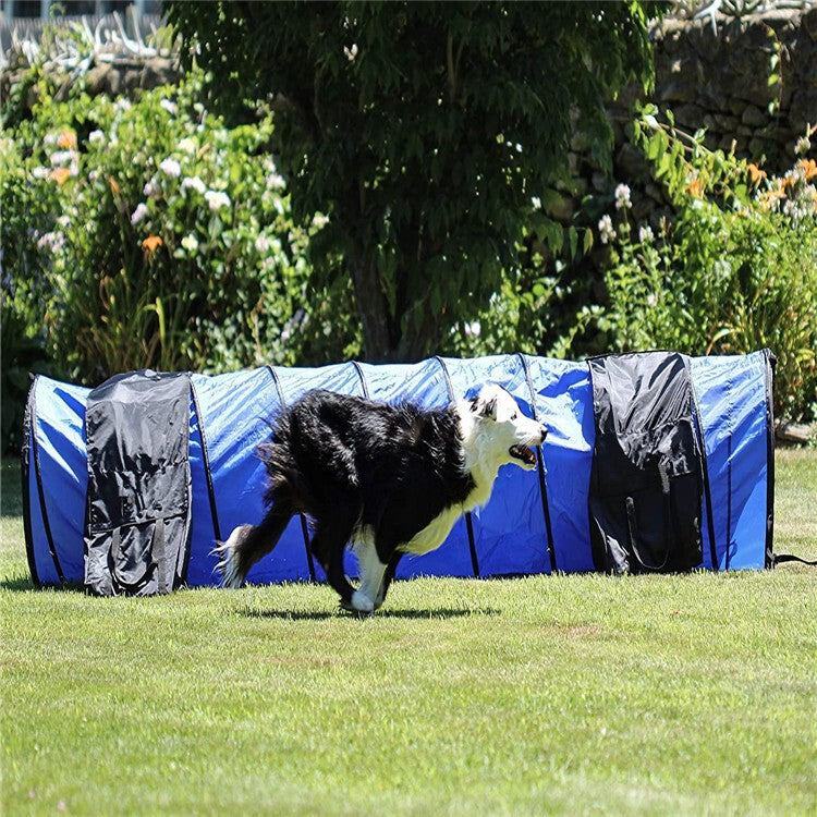 2Pcs Sandbags Pet Tunnel Crawlway Chute Fixed Bag Dog Agility Training Outdoor
