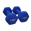 Pair 1kg 2kg 3kg Dumbbell Fitness Hand Weights Set for Women Home Gym Workout UK