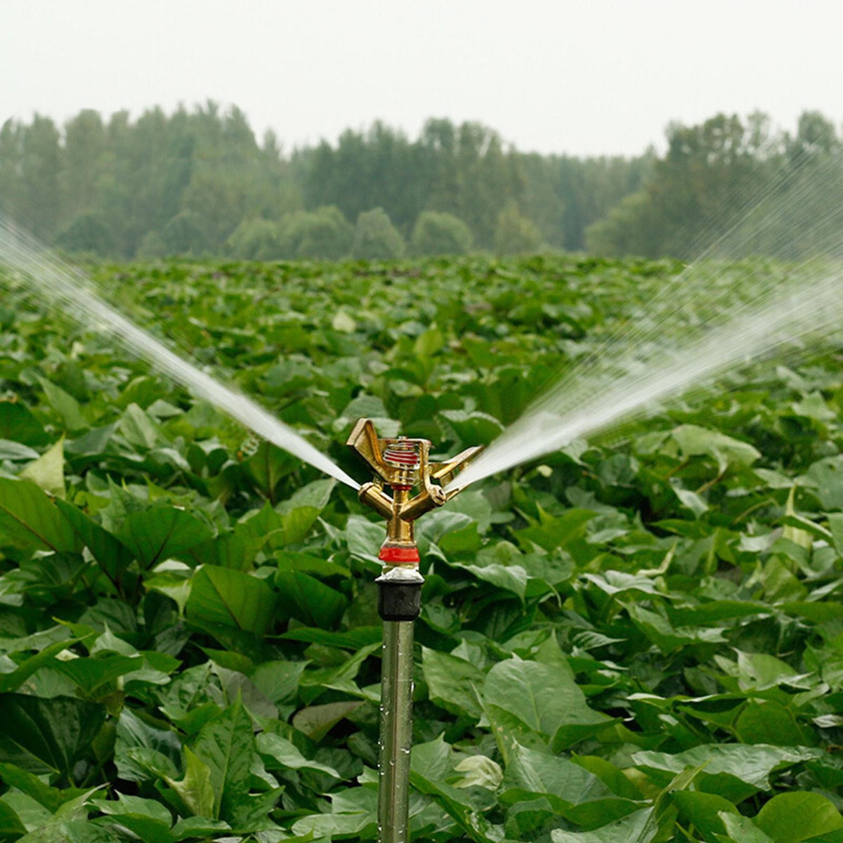 Automatic Rotating Sprinkler w/Tripod 360°Watering Nozzle for Garden Irrigation