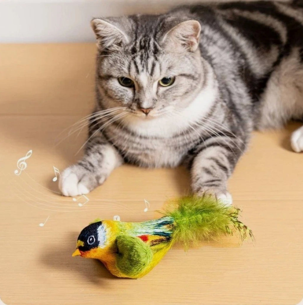 Interactive Hanging Bird Cat Toy – Catnip Teaser Toy with Sound Indoor Fun