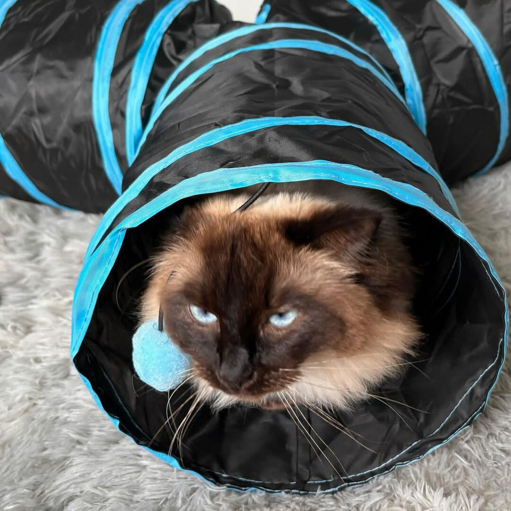 Cat Tunnel 3 Way Toy Long Pop Up Tube Play Indoor Cats Interactive Pet in UK