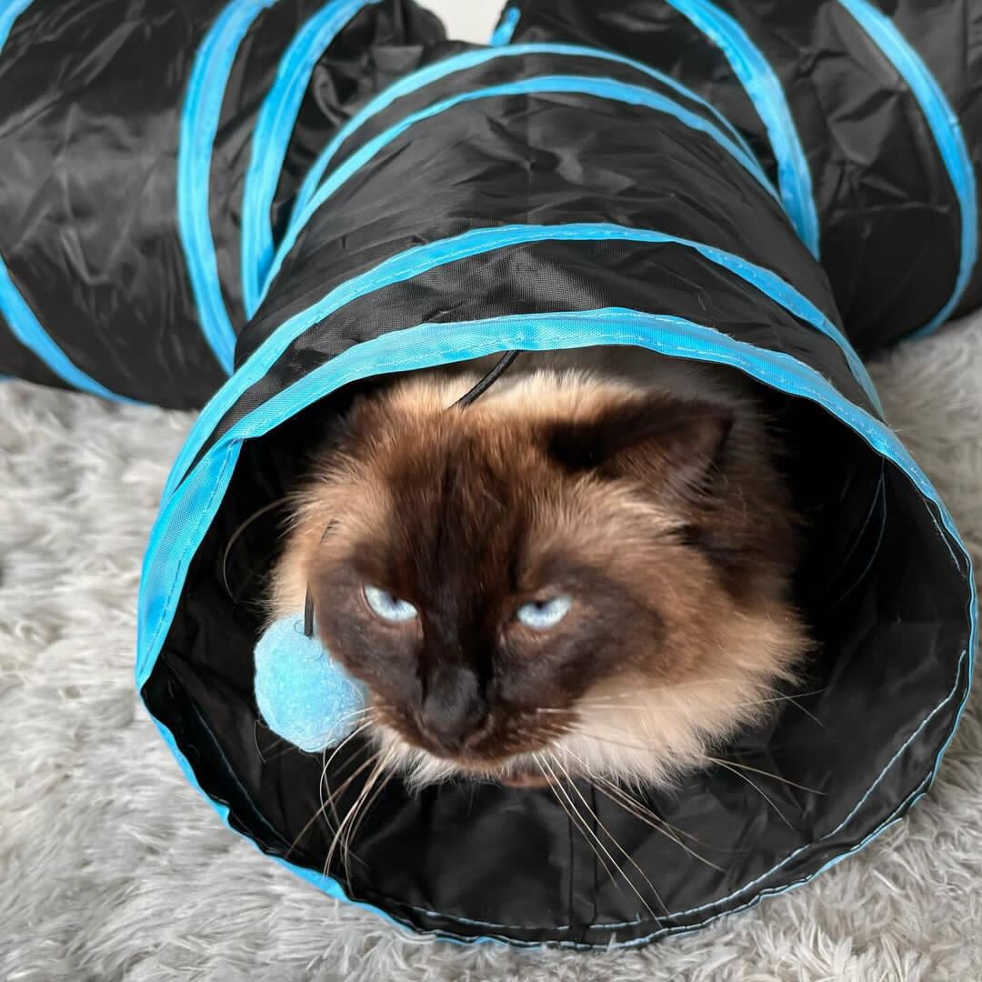 Cat Tunnel 3 Way Toy Long Pop Up Tube Play Indoor Cats Interactive Pet in UK