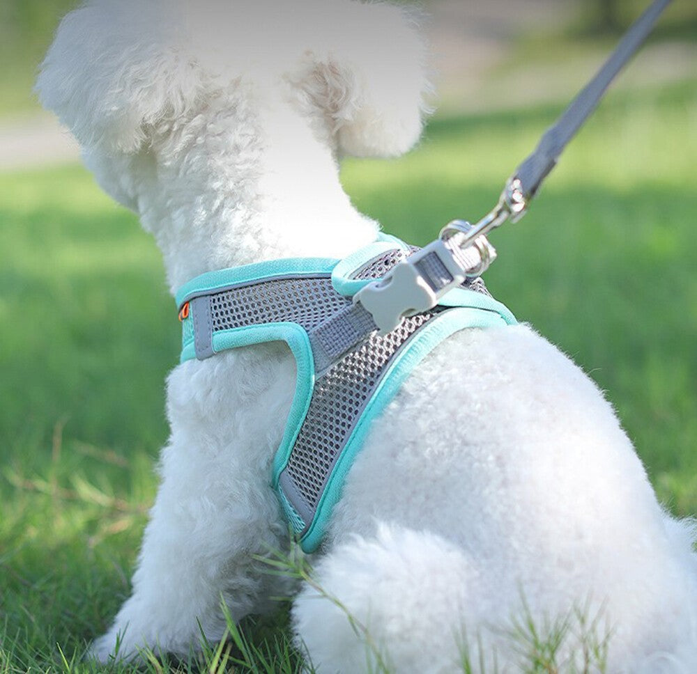 Dog Harness Leash Set Adjustable Puppy Cat Harness Vest Outdoor For Small Dogs