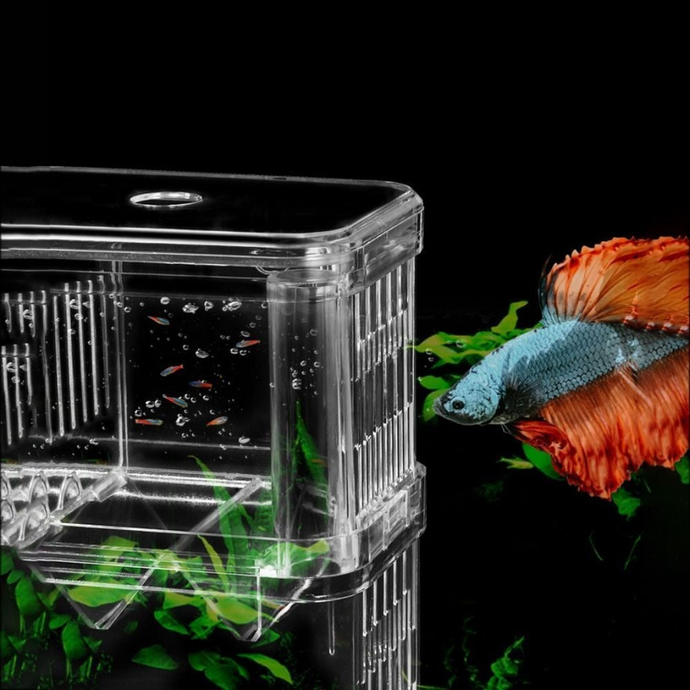 1Pc Fish Isolation Box Acrylic Hatchery Fish Breeding Box Aquarium Breeder Box