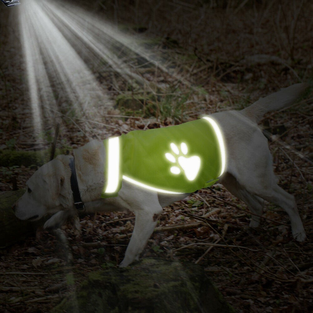 High Visibility Dog Jacket Pet Hi Vis Coat Pet Safety Vest Pet Reflective Vest