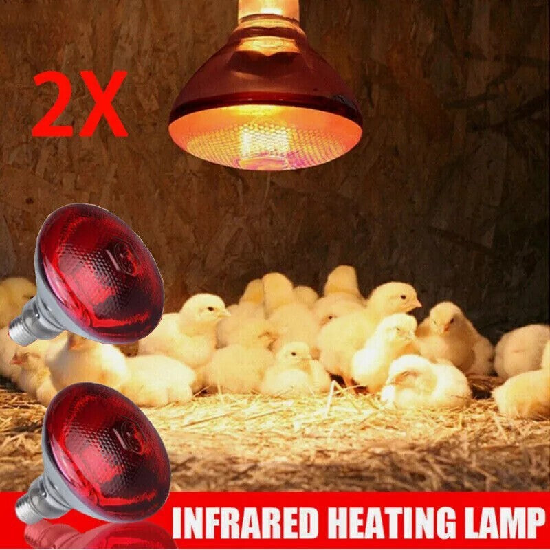 UK 250W Infra Red Ruby Heat Bulb Livestock Chick Brooder Heating Lamp 2 Pack