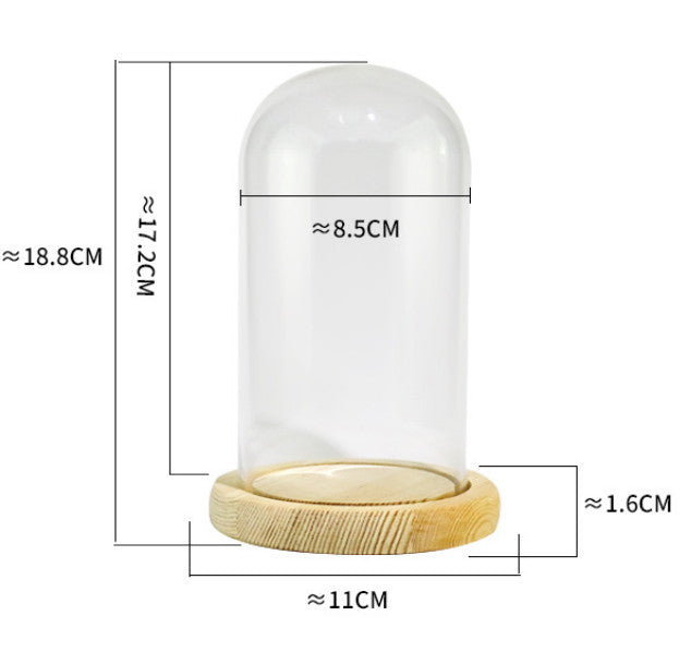 Clear Cloche Glass Dome Glass Bell Jar Display with Wooden Base