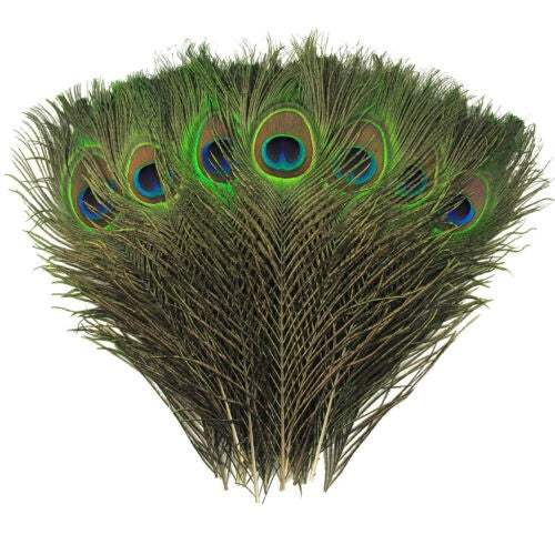 20X Natural Peacock Feathers Real Peacock Tail Feathers 25-30CM Feathers Decors