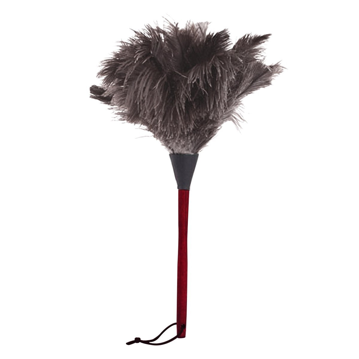 2pcs Duster Brush Anti-static Ostrich Feather Wood Handle Home Cleaning Tool