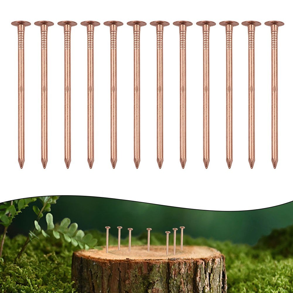 Copper Nails for Tree Stump Root For Killing 4 Inch Solid Copper Spikes