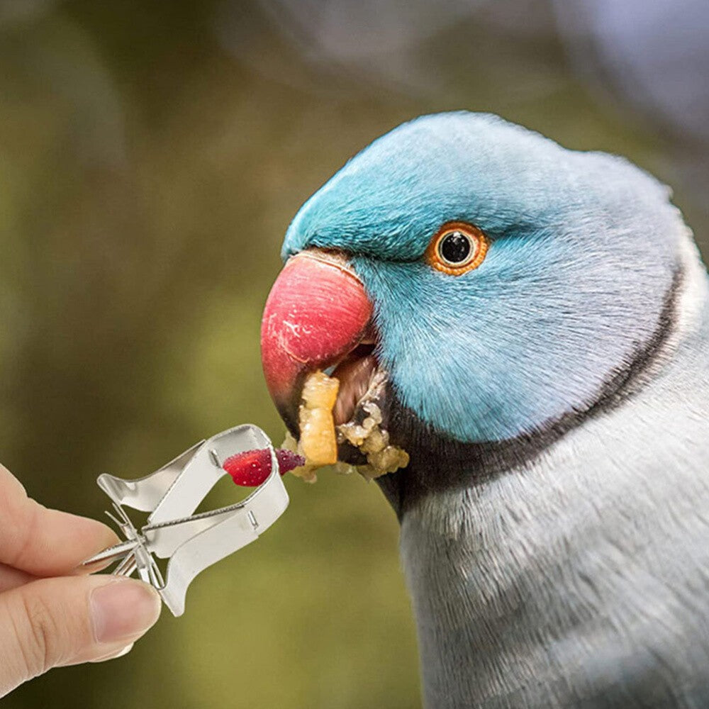 6pcs Bird Food Clips Stainless Steel Cage Clips Bird Cage Supply