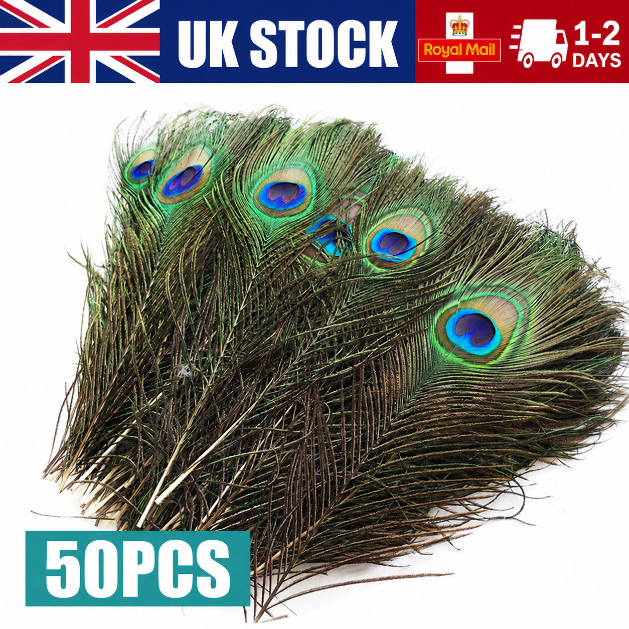 20X Natural Peacock Feathers Real Peacock Tail Feathers 25-30CM Feathers Decors