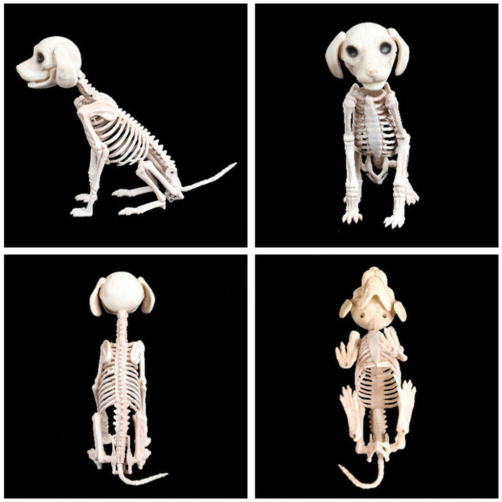 Halloween Scary Skeleton Dog Prop Animal Bones Party Shop Decoration Horror