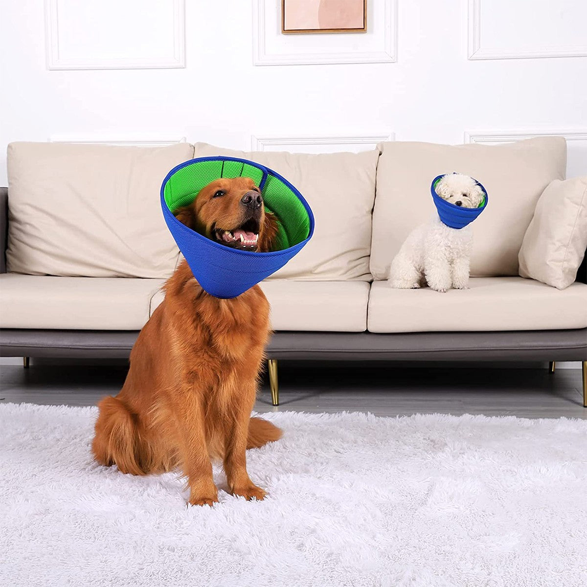 Dog Cat Soft Anti-lick Elizabethan Protective Collar Cone Wound Healing Recove