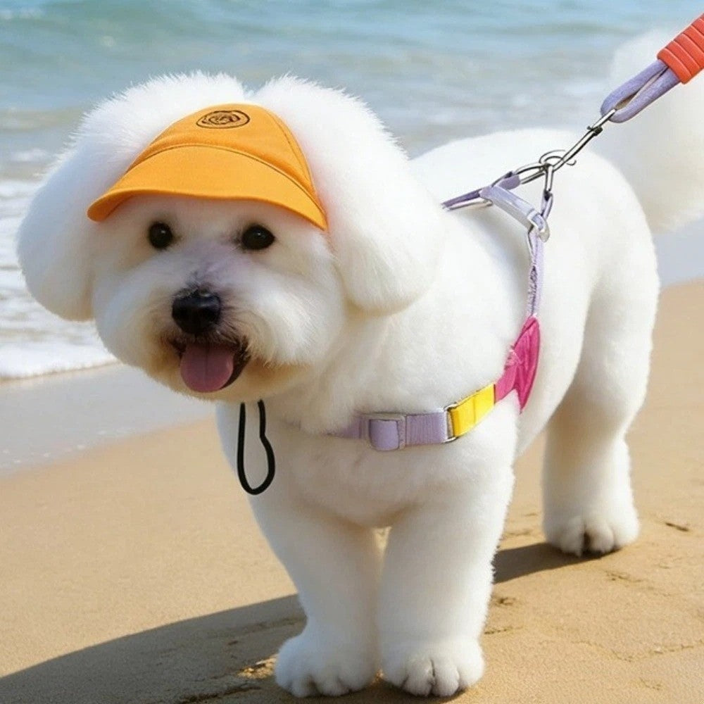 Cotton Cat Sunscreen Hat With Ear Holes Pet Sun Cap Dog Baseball Hat  Travel