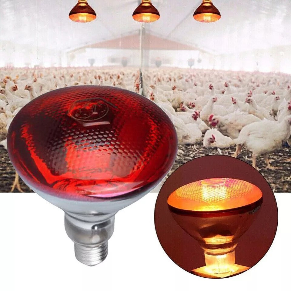 UK 250W Infra Red Ruby Heat Bulb Livestock Chick Brooder Heating Lamp 2 Pack